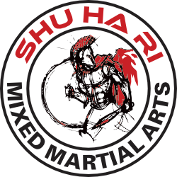 Logo Mixed Martial Arts - MMA