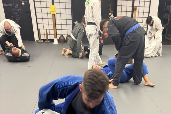 Brazilian Jiu Jitsu Seminar mit G.Rainho