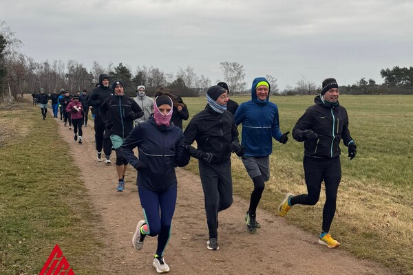 ShuHaRI Neujahrslauf