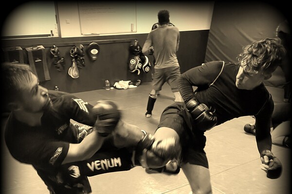 ShuHaRi MMA-CAMP 2023