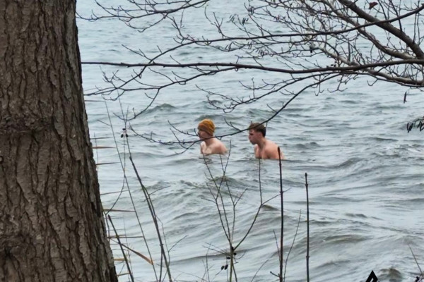 ShuHaRI Neujahrslauf