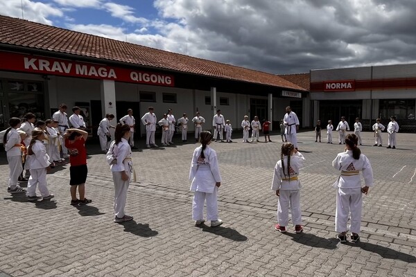 ShuHaRi Kids-Camp 2026