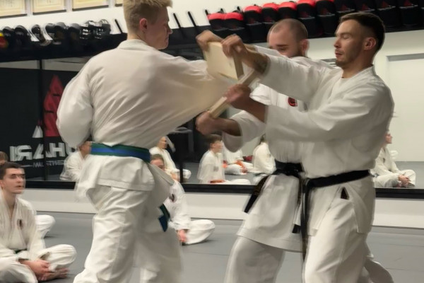 Jahresabschlußprüfungen 2025