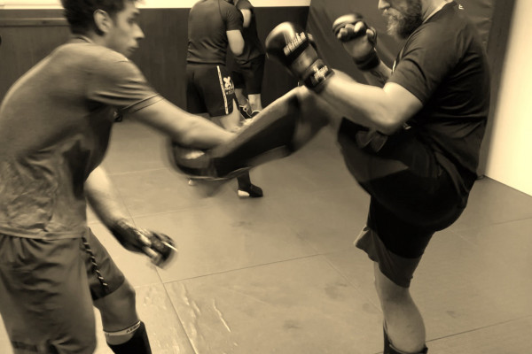 ShuHaRi MMA-CAMP 2023