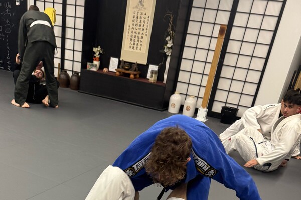 Brazilian Jiu Jitsu Seminar mit G.Rainho