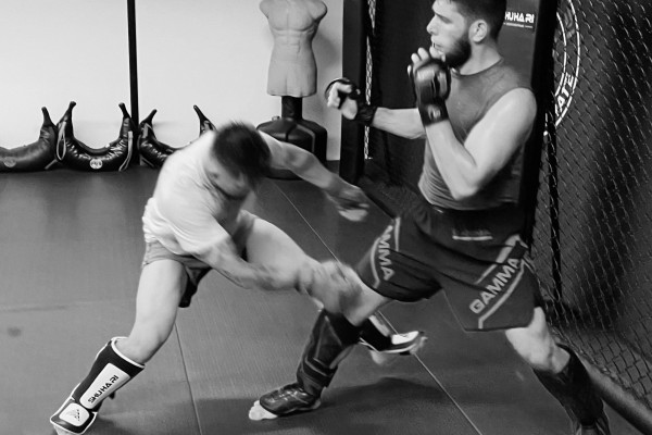 ShuHaRi MMA-CAMP 2023