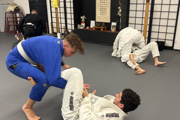 Brazilian Jiu Jitsu Seminar mit G.Rainho