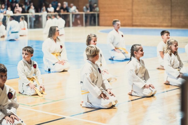 Show Auftritt in der Wittenberger Stadthalle