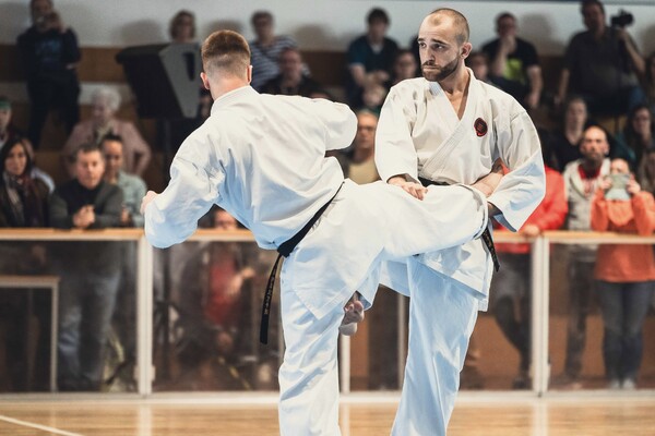 Show Auftritt in der Wittenberger Stadthalle