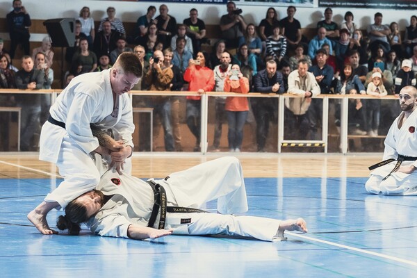 Show Auftritt in der Wittenberger Stadthalle