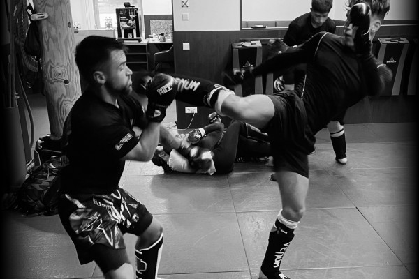 ShuHaRi MMA-CAMP 2023