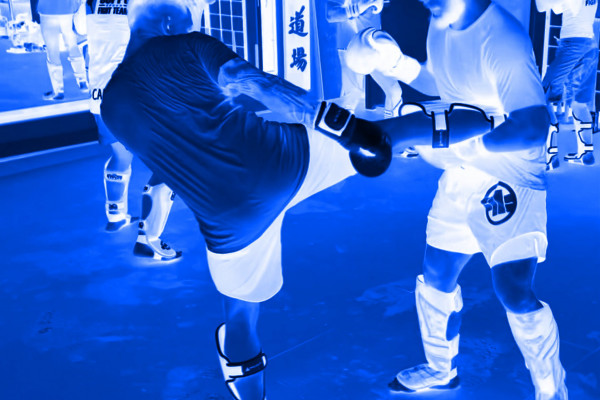 ShuHaRi MMA-CAMP 2023