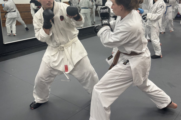 Neujahrsirikumi in Leipzig und Halle