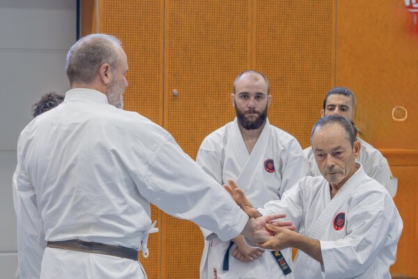 35. Europa Gasshuku in Wageningen - NL