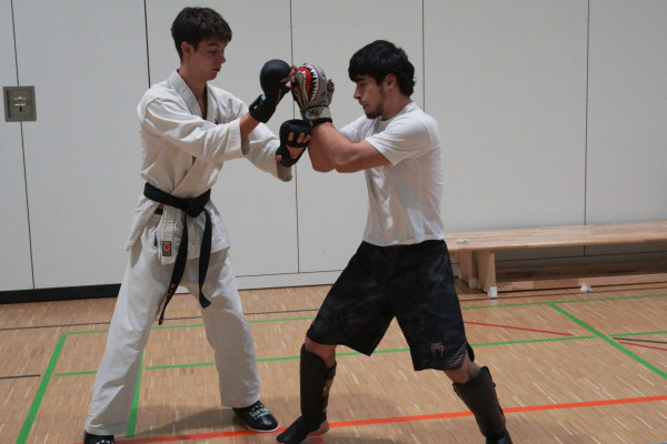 Neujahrsirikumi in Leipzig und Halle