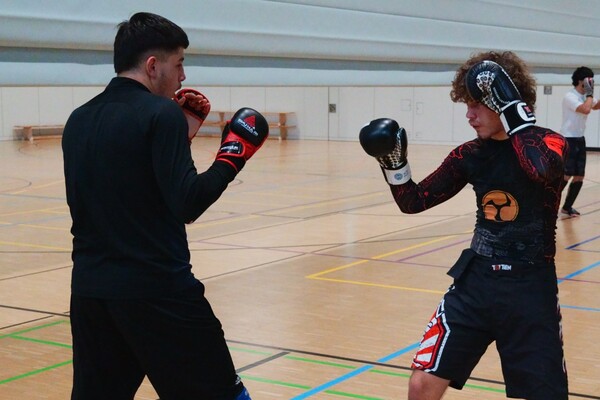 Neujahrsirikumi in Leipzig und Halle