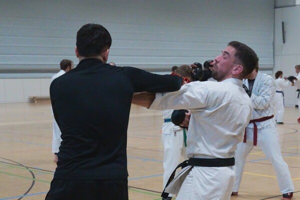 Neujahrsirikumi in Leipzig und Halle