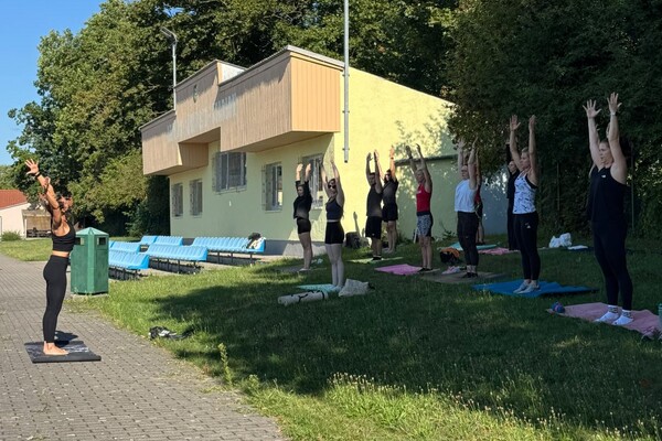 Sommer - Bootcamp 2026