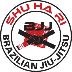 Logo Brazilian Jiu Jitsu - BJJ